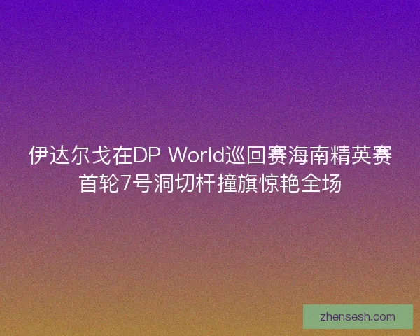 伊达尔戈在DP World巡回赛海南精英赛首轮7号洞切杆撞旗惊艳全场