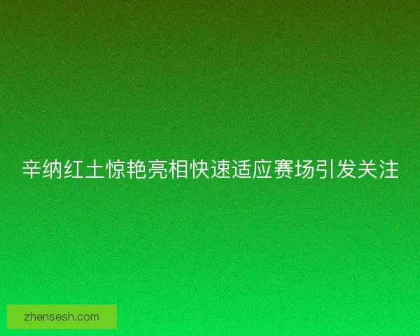 辛纳红土惊艳亮相快速适应赛场引发关注 辛纳红土惊艳亮相快速适应赛场引发关注